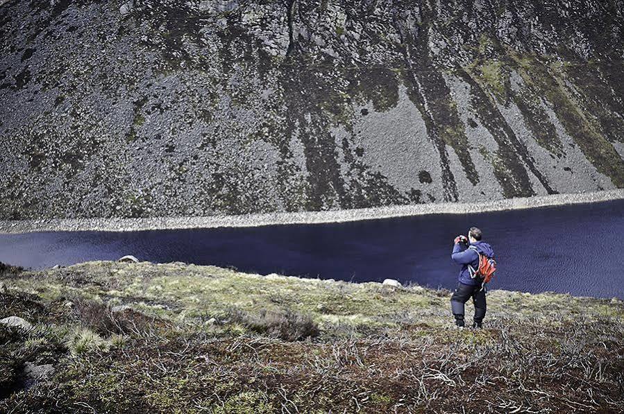 The Mourne Lodge "Cnocnafeola" Newry Ngoại thất bức ảnh
